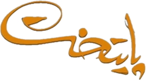 لوگو / آرم سریال پایتخت